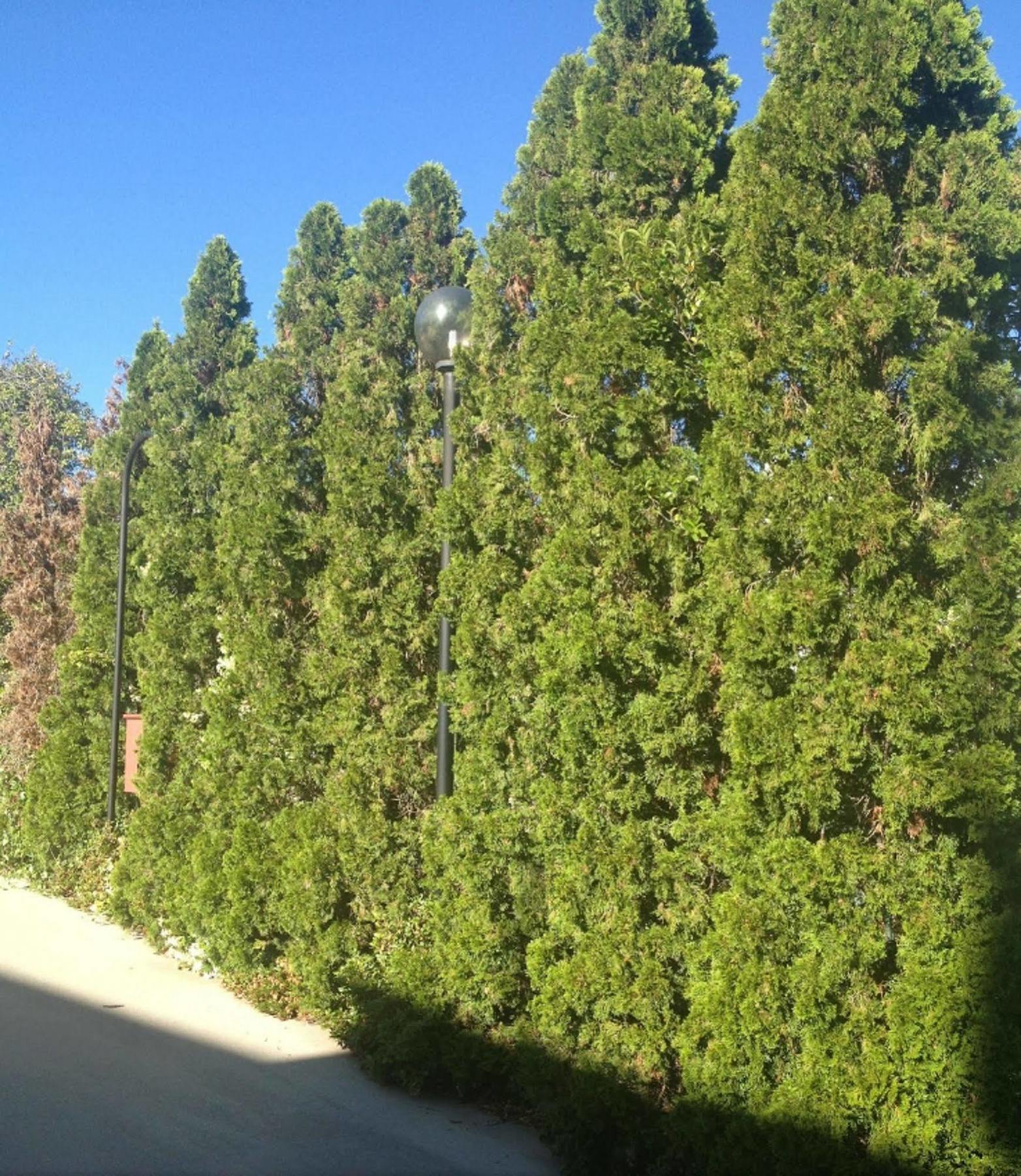 Crest Motor Inn Queanbeyan Dış mekan fotoğraf